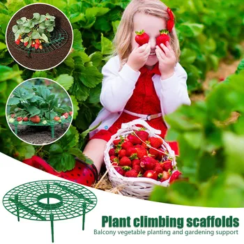 

2PC strawberry plant growth bracket strawberry planting balcony vegetable rack support in rainy days Planting frame Y526