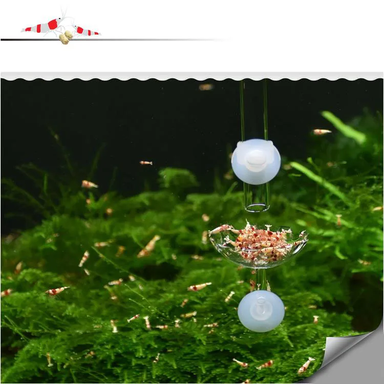 O1CN01dg9xw21VbonNceZIw_!!756162672