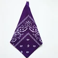 Purple Bandana