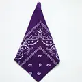purple Bandana