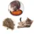 Cat Catnip Powder Mint Natural Kitten Health Care Organic Pet Flavor Accessories