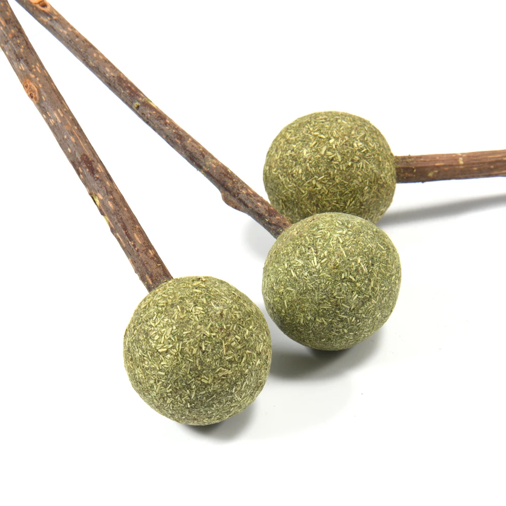 Catnip Lollipop Toy