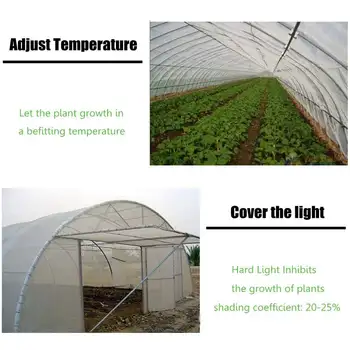 

Netting Bird Net Pest Insect Animal Vegetable Care Big Mesh Nets Greenhous Insect Netting Large Garden Crop Plant Protection Net