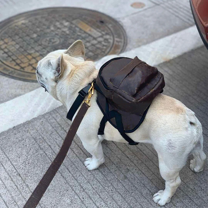 backpack harness for small dogs