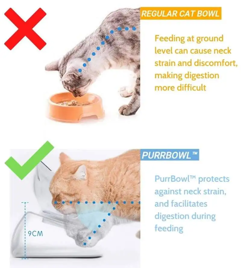 Gamelle Orthopedique Anti Vomissement Pour Chat Inclinee A 15 Pour Chien Transparente Comme Materiau Antiderapant Protection Cervicale Pour Animaux De Compagnie Super Cadeau Aliexpress