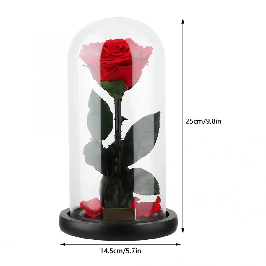 Forever Rose Flower, стеклянная крышка, Подарочная коробка, праздничная, консервированная, бесморская, свежая роза в стекле, подарки для влюбленных, для рукоделия, букет