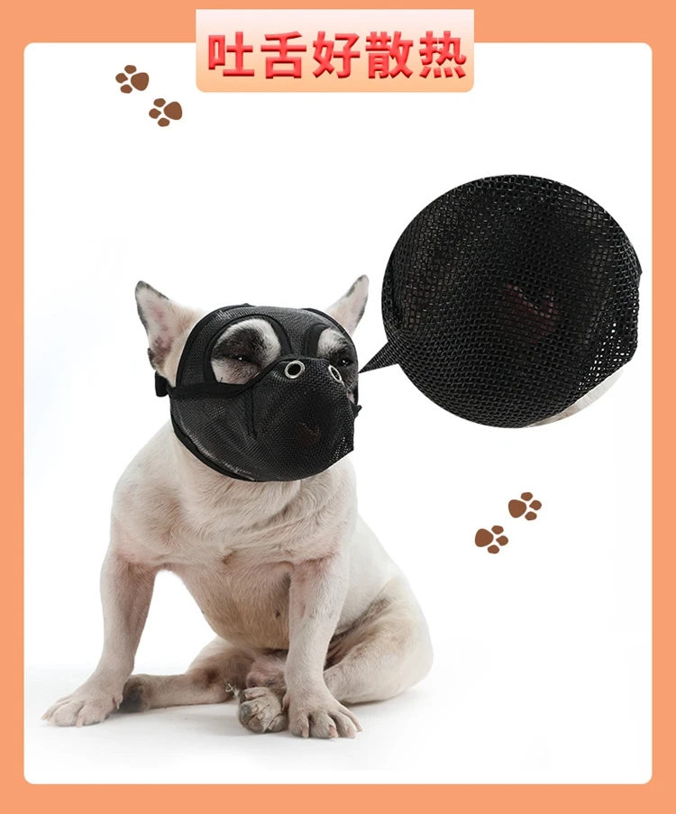 7 - 21463859122_20982621