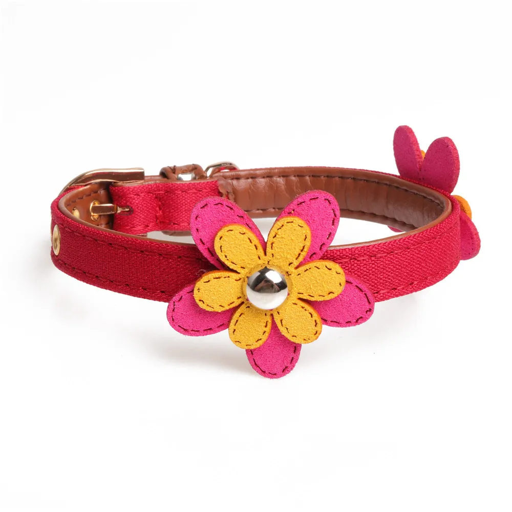 9068899142_307791824