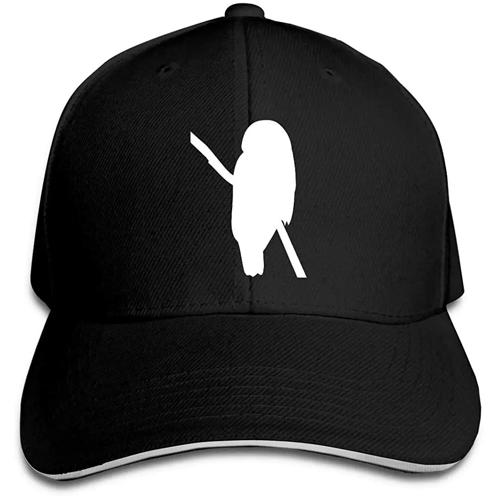 Мужская женская серая бейсболка с совой, бейсбольная кепка