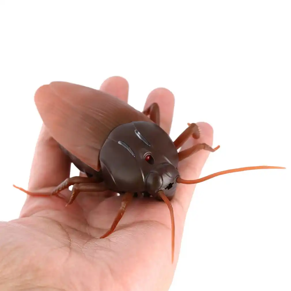 cockroach prank toy