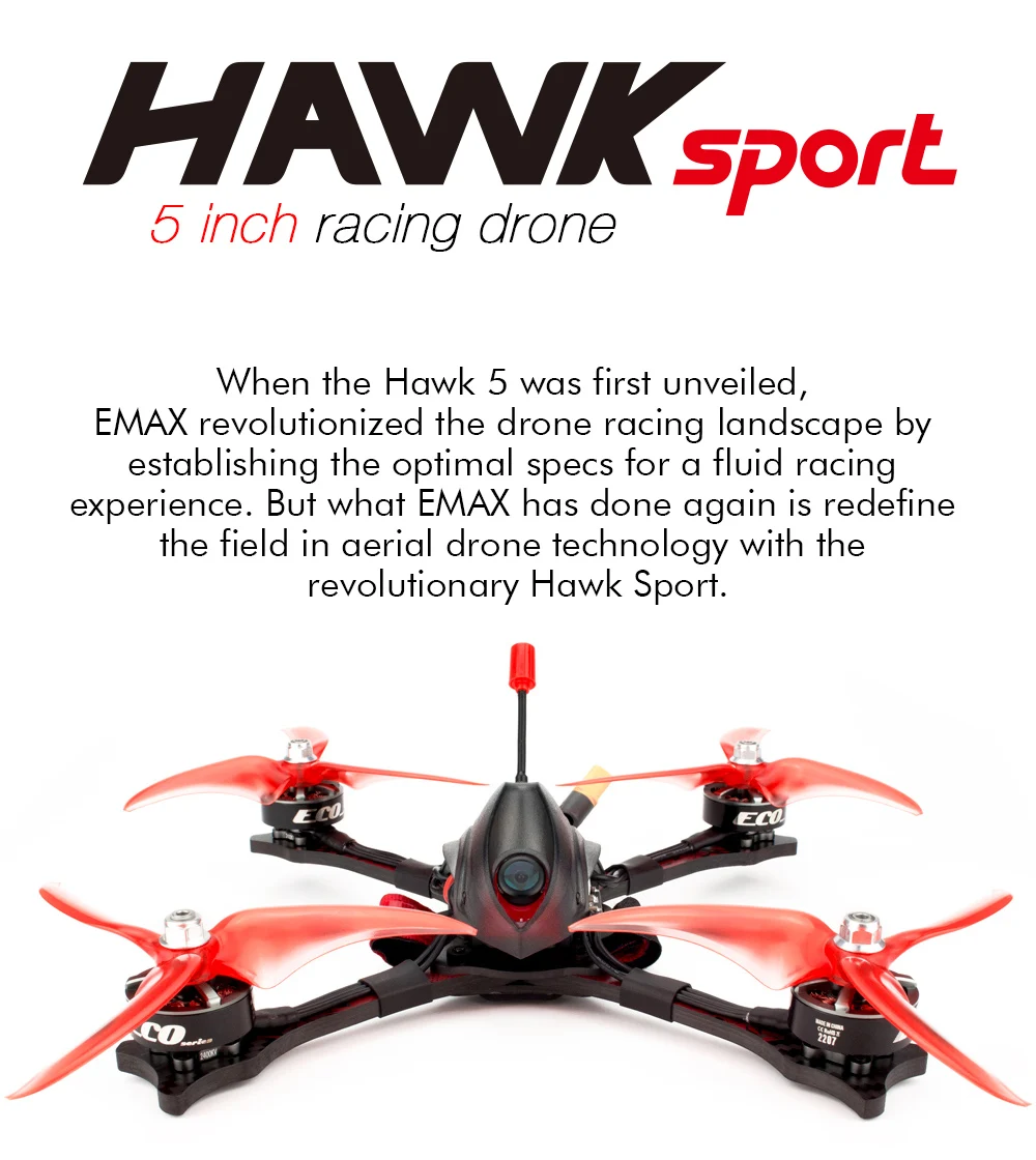 Hawk-Sport_01