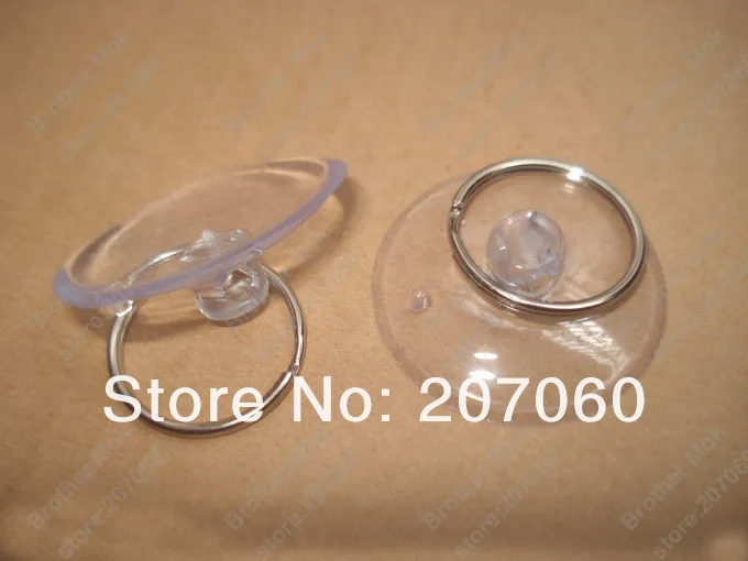 Transparence Cupula.jpg