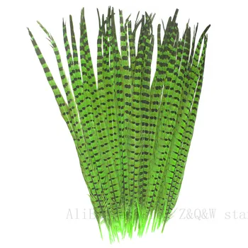 

Wholesale Natural 30-70CM (12-28 inches) Pheasant Feather Dyed Fruit Green 30-100PCS DIY Clothing Craft Decoration Jewelry
