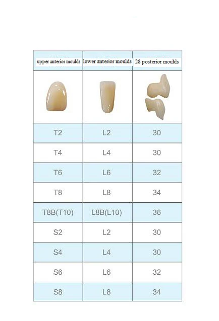 mould chart