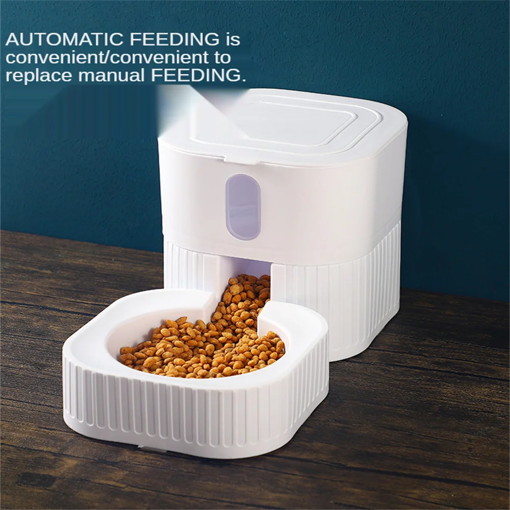 How To Keep Ants Out Of Dog Food Storage