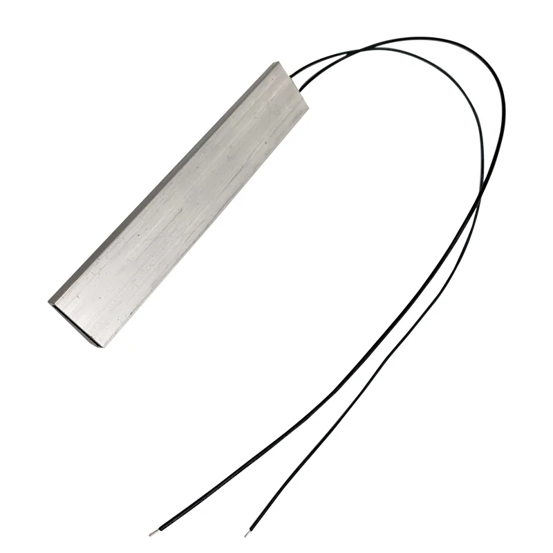 Egg Incubator Chicken Heater PTC Heating Element 12v/110v/220v Heater Egg Incubator For Constant Thermostat Thermistor Air Heated Sensor Aluminum Shell