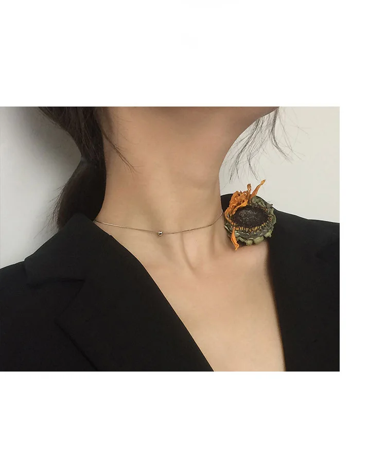 8616933060_1732139996