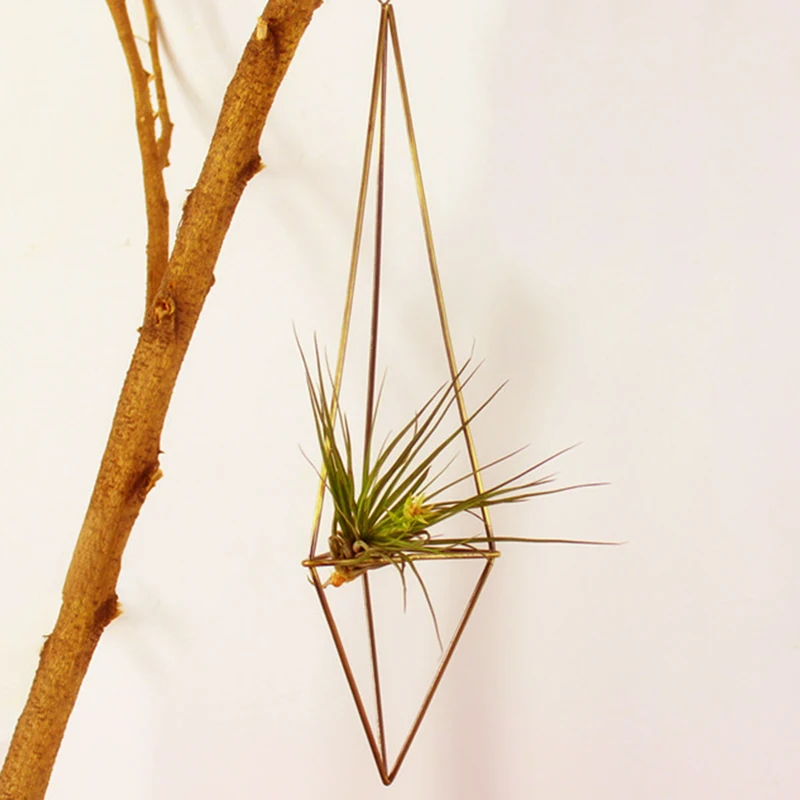 Succulent Tillandsia Air Plants Rack Holder Freestanding Hanging Pyramid Pot Tillandsia high quality