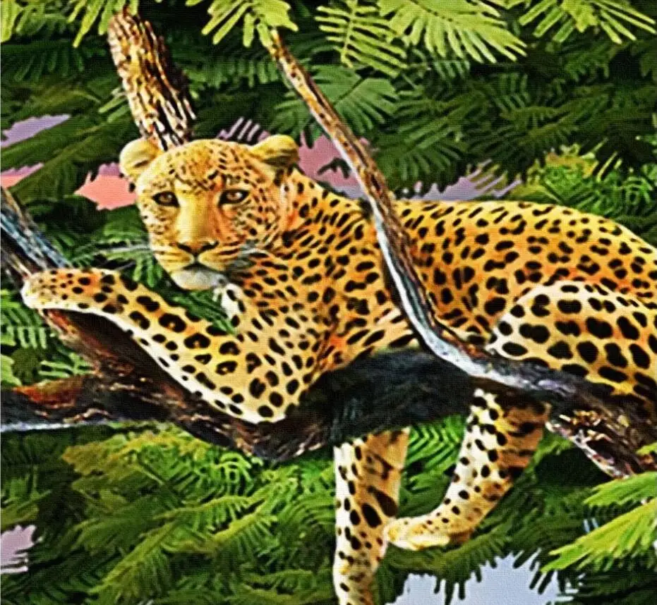 q5