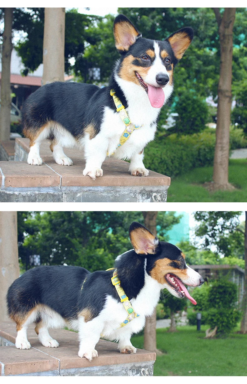 Colorful Adjustable Pet Harnesses for Small Medium Big Dogs Quick Release Firm Pet Chest Vest Dog Harnesses Bulldog Supplies