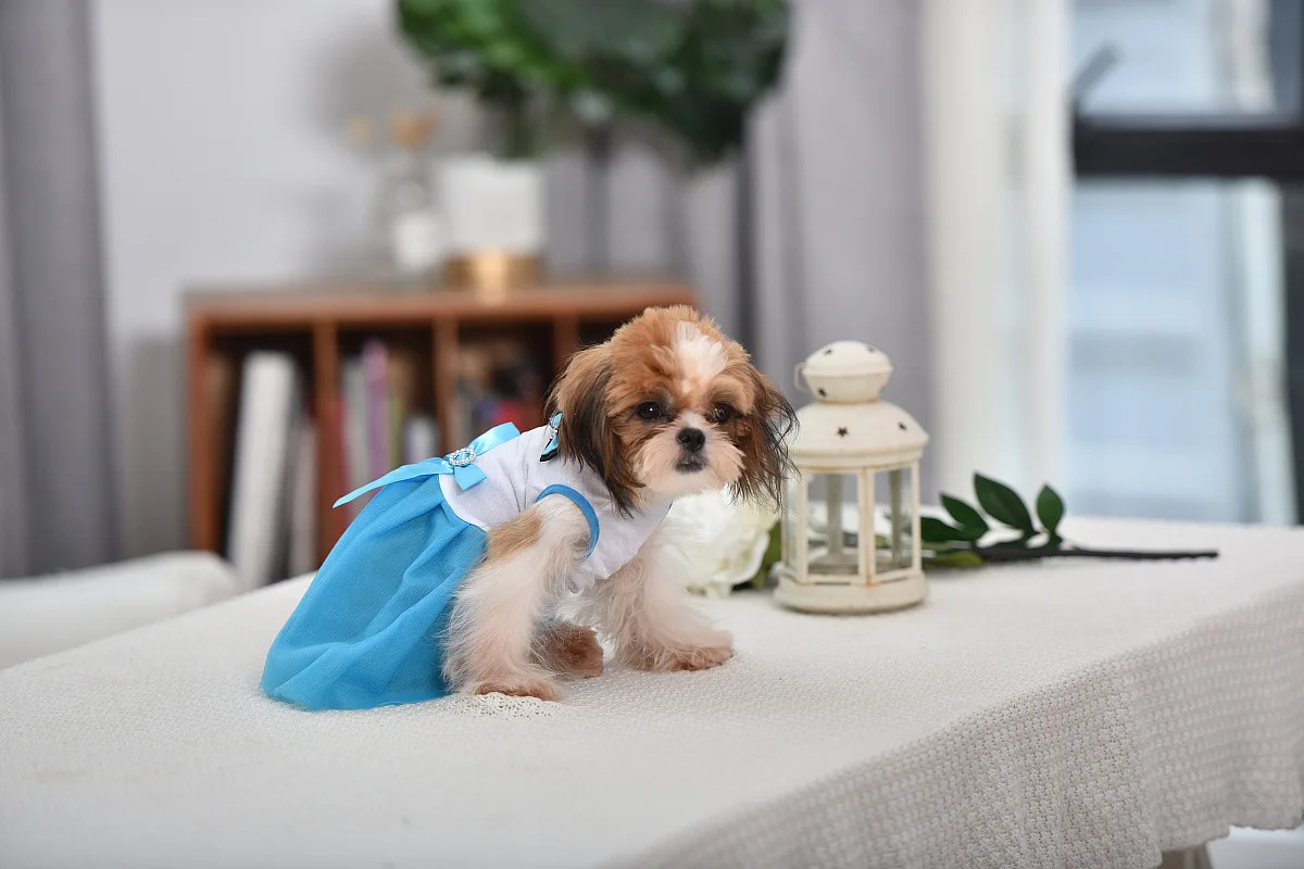 优宝龙宠物衣服 (168).jpg