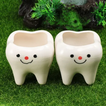 

2pcs Creative Mini Tooth Ceramic Flower Pot Succulents Simulation Tooth Grass Holder Household Bedroom Living Room Decoration (R