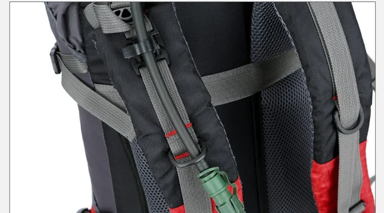 10452926971_421471669_看图王(1)