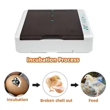 Full Automatic Incubator Brooder Farm Hatchery Machine 36 Egg Hatcher Chicken Automatic Egg Incubator Goose Bird Quail Brooder 12 eggs incubator automatic poultry incubator temperature control brooder automatic hatch farm chicken quail duck egg incubator