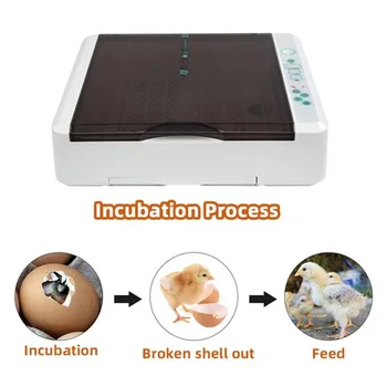 

Full Automatic Incubator Brooder Farm Hatchery Machine 36 Egg Hatcher Chicken Automatic Egg Incubator Goose Bird Quail Brooder