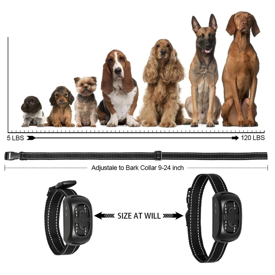 paddling pool for dogs argos