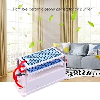 

10g 220V Ceramic Ozone Generator Sterilization Sterilize Purifier Double Integrated Long Life Ceramic Plate Disinfection Tools