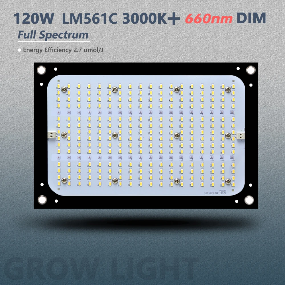 120W+红