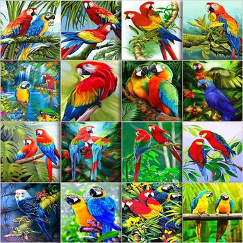 

Oil Paintings Parrot Kits DIY Image By Number Animal Painting By Numbers Bird Drawing On Canvas Hand Painted Home Decor