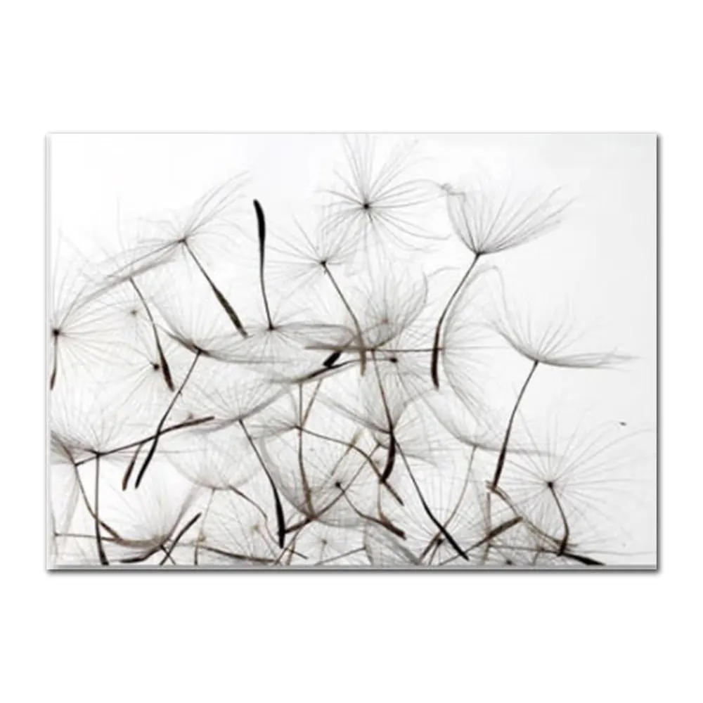 Black-And-White-Canvas-Art-Painting-Life-Quote-Nordic-Posters-And-Print-Dandelion-Poster-Decoration-Wall (7)