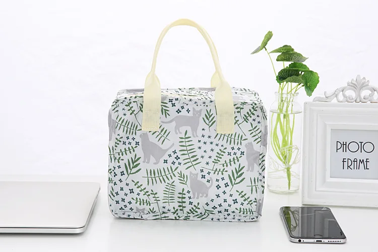 Thick Lunch Box Bag Insulated Bag Students Waterproof Hand Bento Box Bag Cartoon Picnic Students Large Size Insulated Cosmetic B