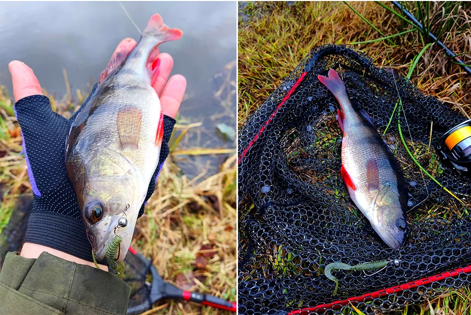 TSURINOYA 63mm 0,7g 40 stücke Licht Spiel Weichen Köder Angeln Köder BOUNDEN Künstliche Silikon Wurm Ajing Bass Pike swimbaits – Detail 23