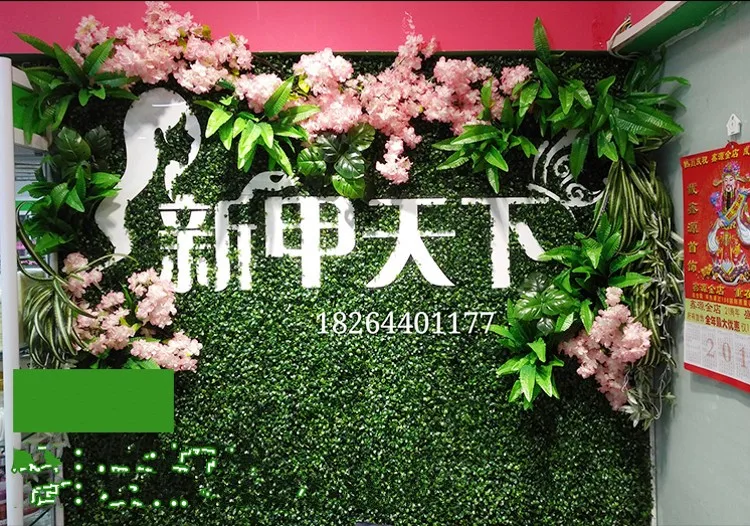 3_conew1