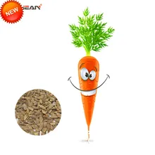 Новинка! пакет 200 шт./партия морковный бонсай в горшках фруктовые и овощные растения морковь,# B0OOQG