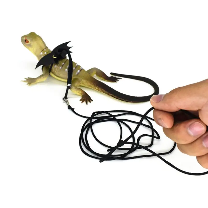 Pet Lguana ajustable alerón de estilo pequeño reptil lagarto arnés cuerda de escalada cinturón dragón arnés de la correa de cuero