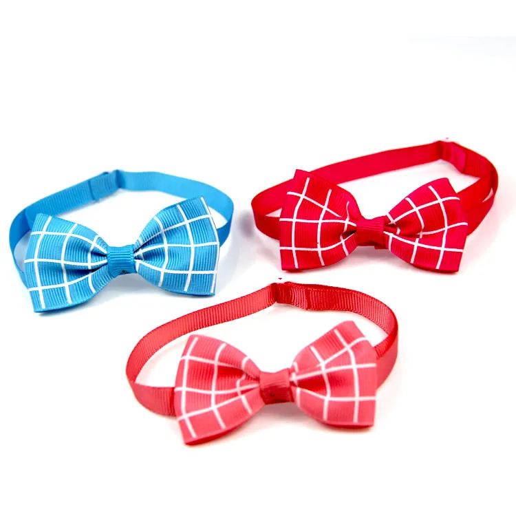 9063848025_1653323266