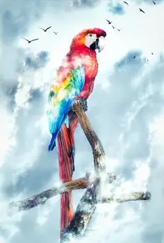 

Colorful Parrot Modern Pictures Art Film Print Silk Poster Home Wall Decor 24x36inch