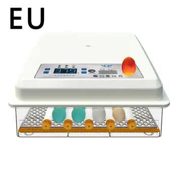

Full-automatic Small Household 16 Eggs Incubator for Peacock Duck Goose Egg Quail Chicken 220V Incubator