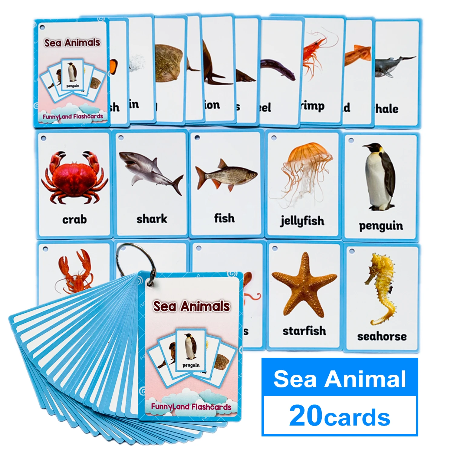 20Pcs/Set Vegetable Fruits English Learning Word Card English Learning Card Early Education Children's Game  Word Pocket Card 11