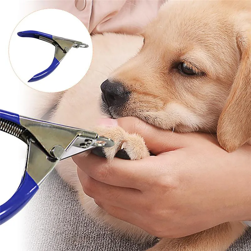 c081d997-2701-4884-b3a8-e3e70ffc8b77