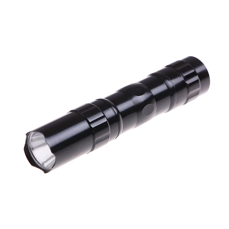 Portable Mini LED Flashlight Pocket Pen Light Outdoor Torch Hunting Camping Lamp 