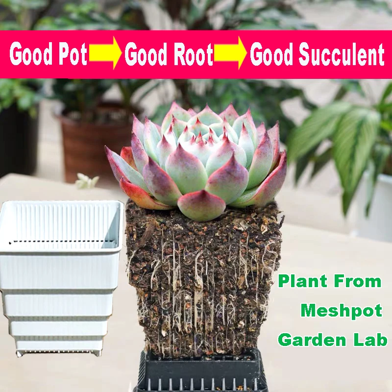 Meshpot Succulents Pot Plastic Flower Pot Planter Container Seedlings Nursery garden supplies air pruning pot with root control