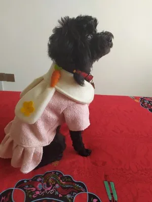 Осенние платья для собак с кроликом милый плюшевый Bichon принцесса розовая юбка с кошкой Одежда для собак XS s m l xl