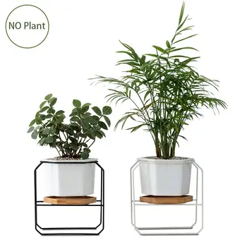 

Wrought Iron Hexagonal Simple Fleshy Green Plant Ceramic Flower Pot Bamboo Stand Iron Frame Set Metal Bracket Ceramic Flower Pot