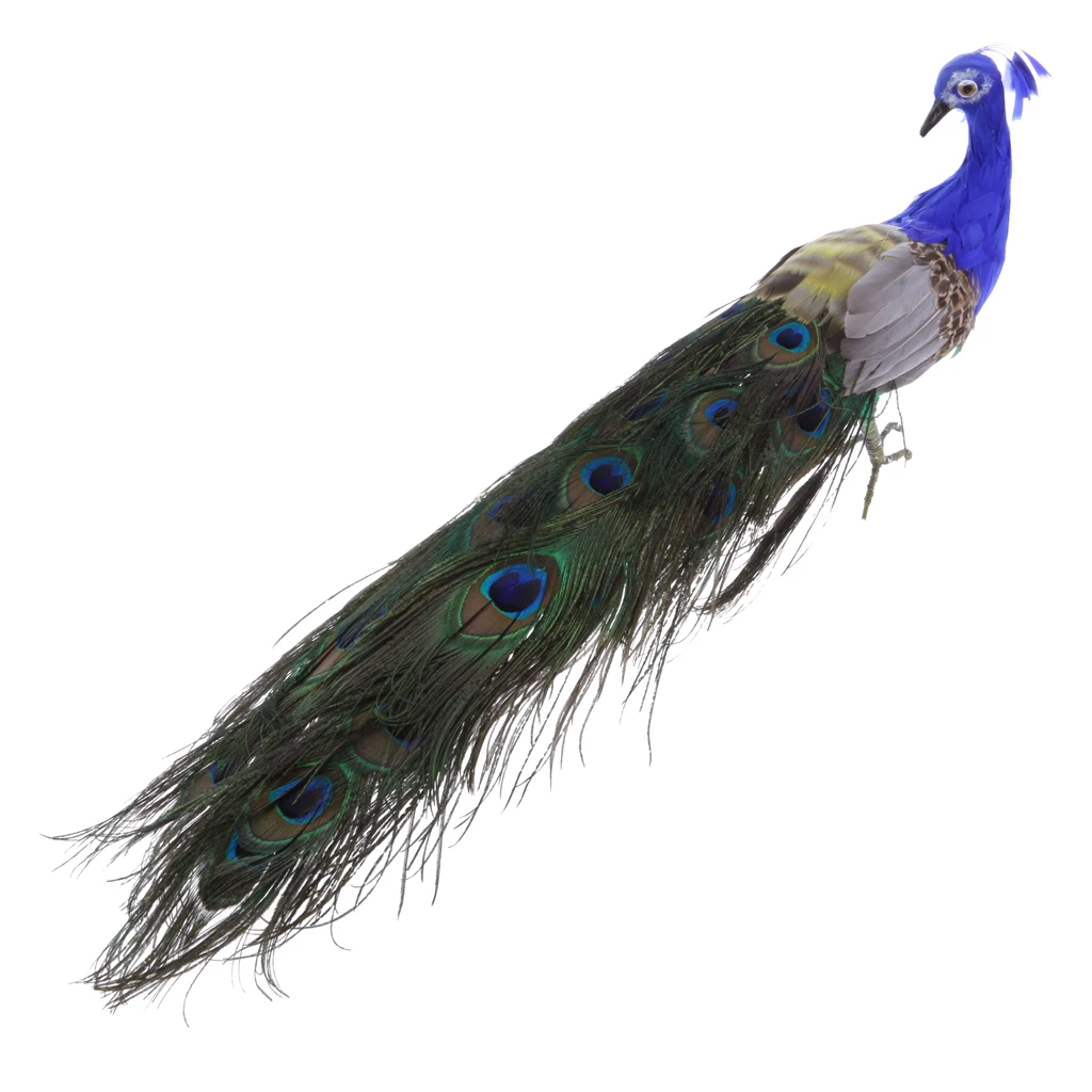 Vivid Artificial Peacock Bird Realistic Taxidermy Home Garden Decoration, turning head