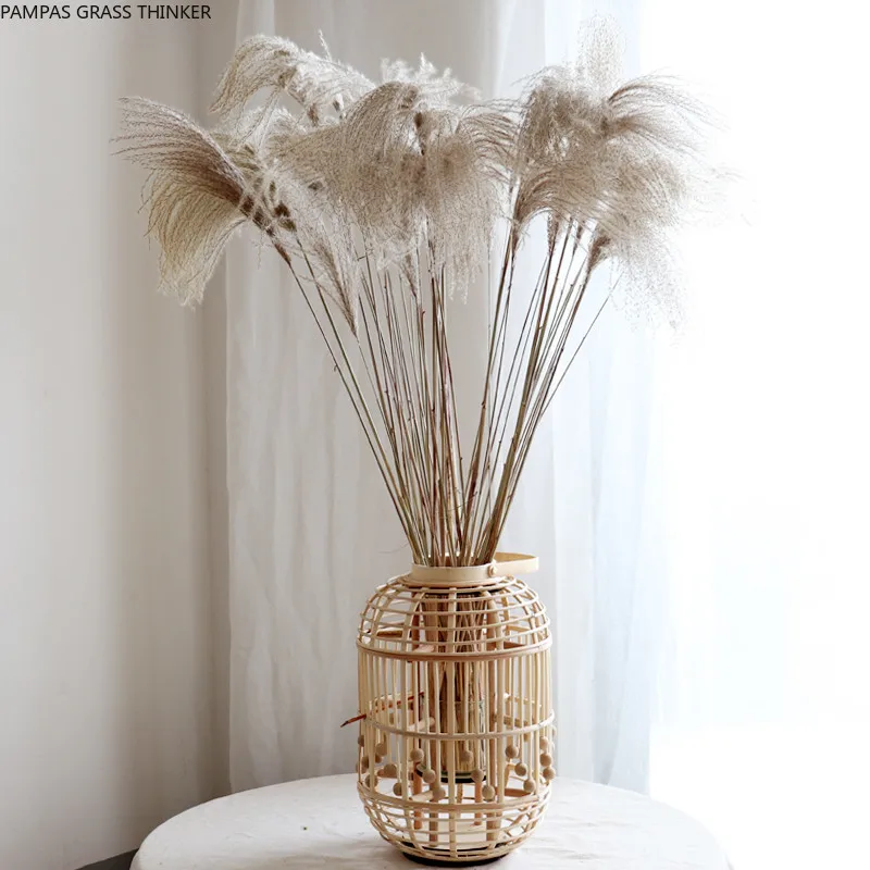 

30pcs Wedding pampas decor flower bunch big pampas grass home decor art reed natural dried plant for window display